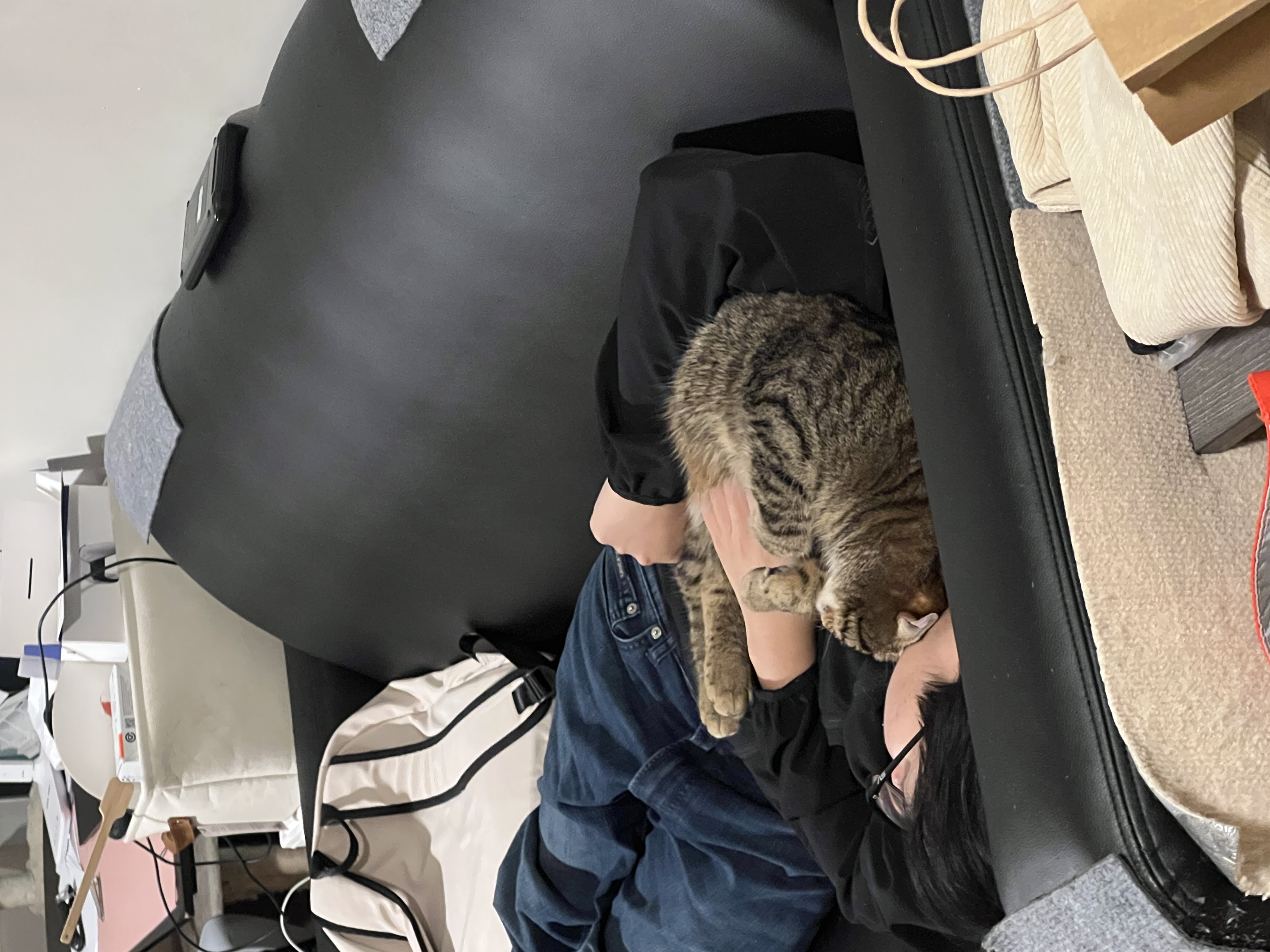 Wuyu the cat